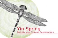 Logo Yin Spring